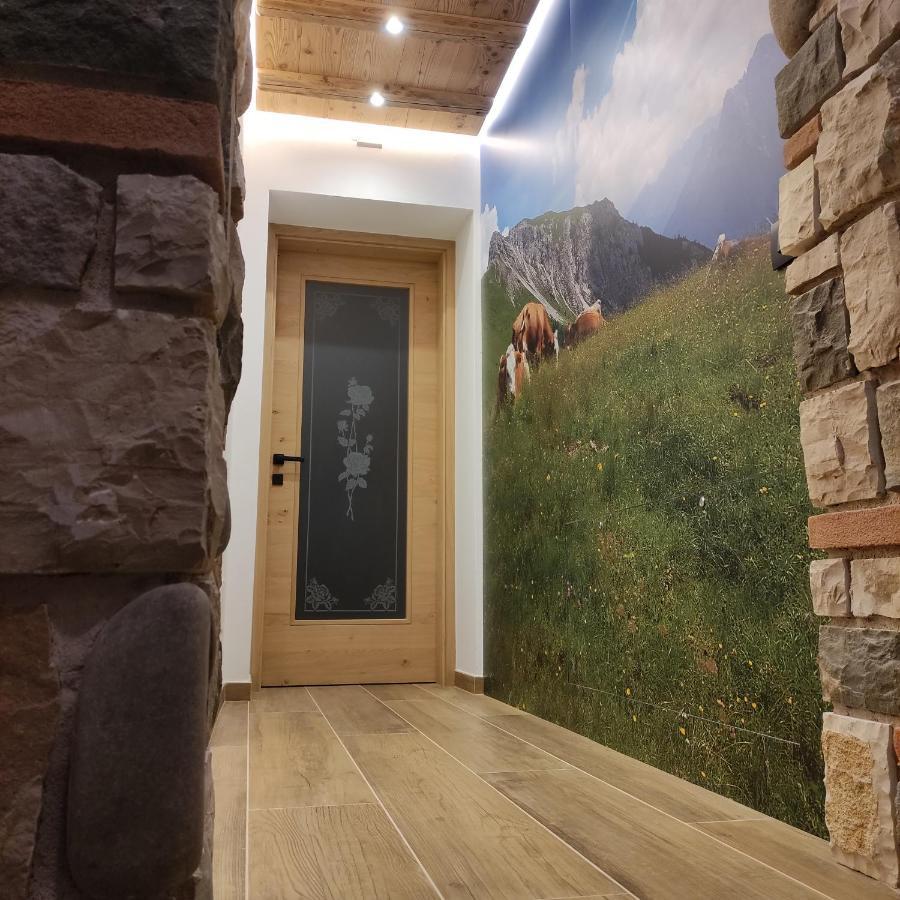 Cuore Delle Dolomiti Alloggi Vacanze San Pietro di Cadore Buitenkant foto